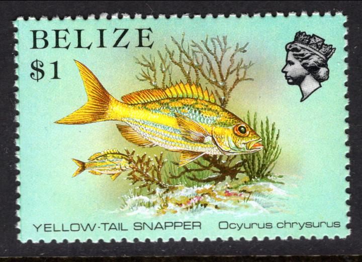 Belize 711 Fish MNH VF