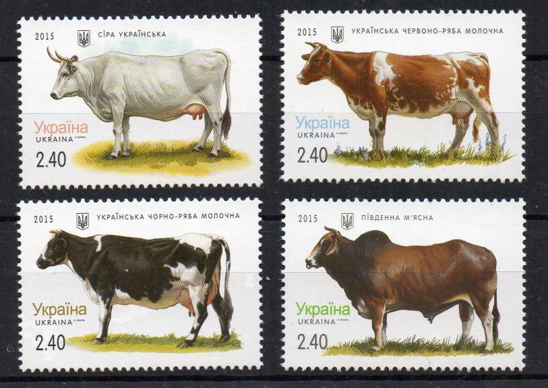 UKRAINE - 2015 - COWS - FARMING -