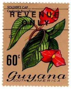 (I.B) British Guiana (Guyana) Revenue : Duty Stamp 60c