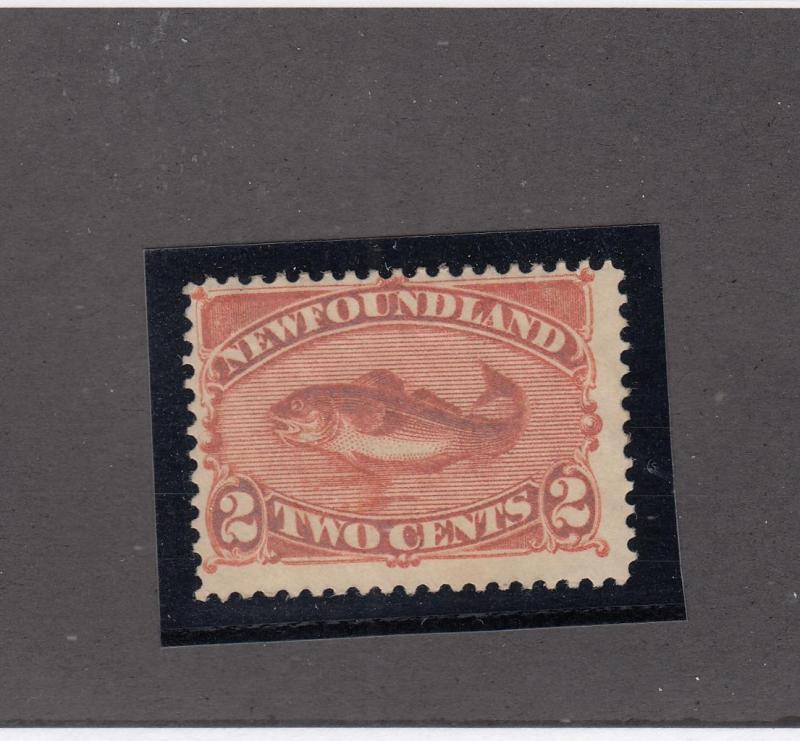 NEWFOUNDLAND # 48 FVF-MNH FULL PART OG 2cts CODFISH CAT VALUE $90