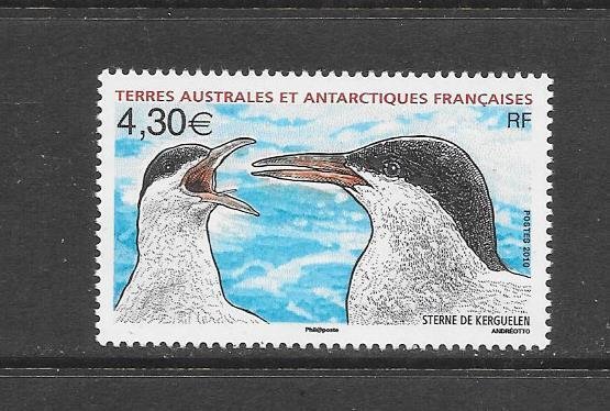 BIRDS - FRENCH SOUTHERN ANTARCTIC TERRITORY #429   MNH