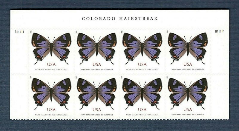 Colorado's Hairstreak Butterfly Featured on New Stamp for