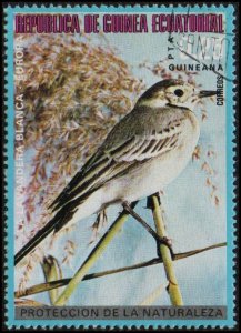 Equatorial Guinea sw1225 - Cto - 0.25p White Wagtail (1976)