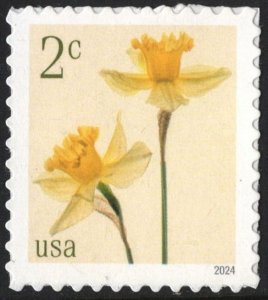 SC#5898 2¢ Daffodils Single (2024) SA