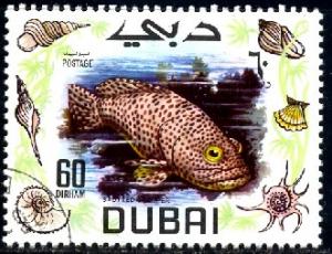 Fish, Spotted Grouper, Dubai stamp SC#102 used