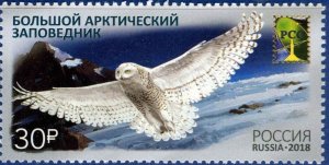 Russia 2018 Birds Arctic Owls, Arctic State Nature Reserve, # 7902, XF MNH**