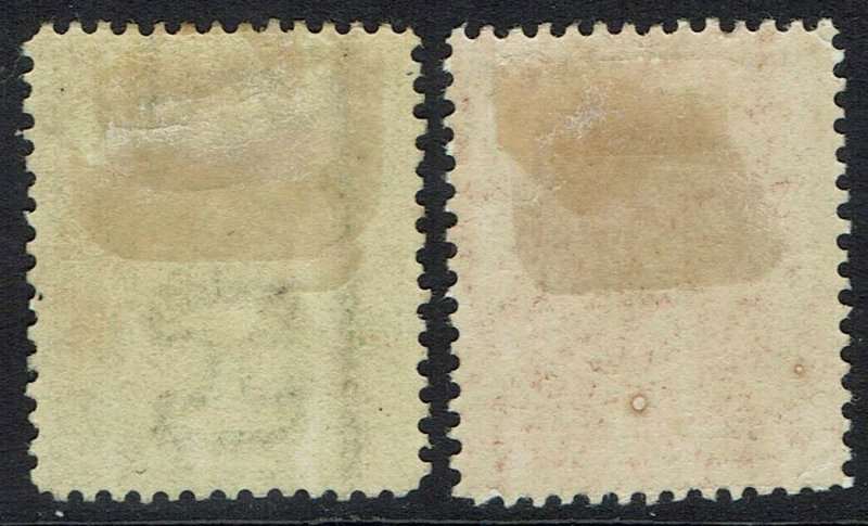 BRITISH EAST AFRICA 1896 QV LIONS 1/2A AND 2A 