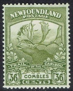 NEWFOUNDLAND 1919 CARIBOU 36C 