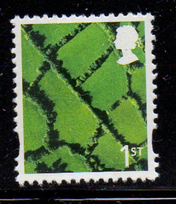 Great Britain N Ireland Sc 13 2001 1st Fields stamp mint NH