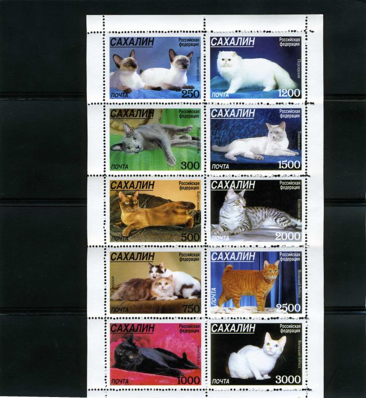 Sakha (Yakutia Republic) Local Issue Various Cats Sheet Perforated mnh.vf