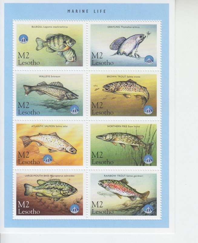 1998 Lesotho Fish   MS8 (Scott 1143) MNH
