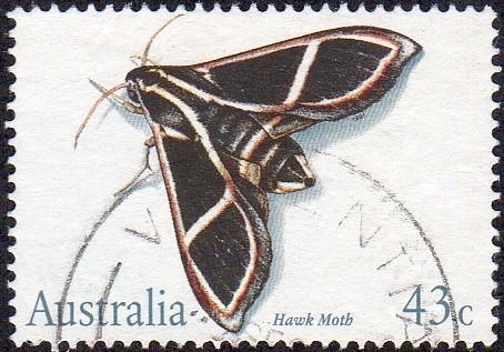 Australia 1211 - Used - 43c Hawk Moth (1991) (cv $0.70)