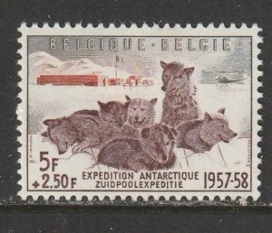 1957 Belgium - Sc B605 - MH VF - 1 single - Dogs and Antarctic Camp