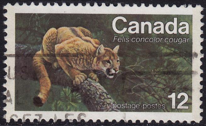 Canada - 1977 - Scott #732 - used - Eastern Cougar