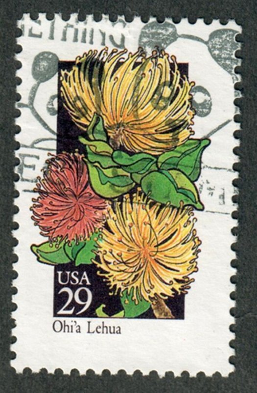 2669 Wildflowers used single