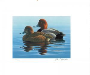 MINNESOTA #6 1982 STATE DUCK STAMP PRINT REDHEADS  by Phil Scholer List $200