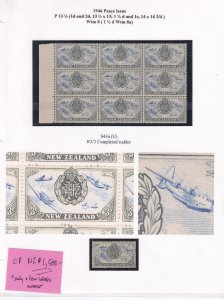 NEW ZEALAND VARIETY RARE & UNUSUAL TO GET BLOCKS OWNER CATALOGUED THIS AT $1290