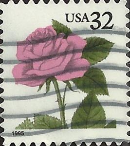 # 2492 USED RED ROSE