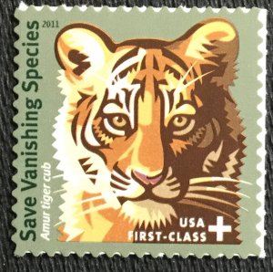 US #B4 MNH Single Amur Tiger Cub SCV $1.00