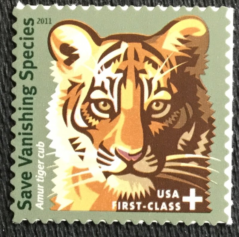 US #B4 MNH Single Amur Tiger Cub SCV $1.00