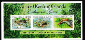 Cocos Islands # 263, Endangered Species Souvenir Sheet,  Mint NH 1/2 Cat.