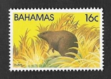 SD)1982 BAHAMAS FAUNA, BAHAMEÑO AGUTÍ, MNH