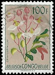 BELGIAN CONGO   #284 USED (1)