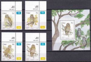 Ciskei, Fauna, Birds MNH / 1991