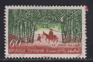 Tunisia 357 Date Palms. Djerid 1960