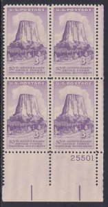 1084 Devils Tower Plate Block MNH