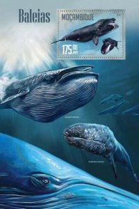 Mozambique 2016 BLUE WHALES s/s Perforated Mint (NH)