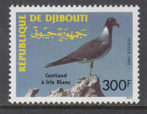 Djibouti 708 Bird MNH VF