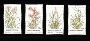 BOPHUTHAYSWANA SC# 116-119 GRASS PLANTS - MNH