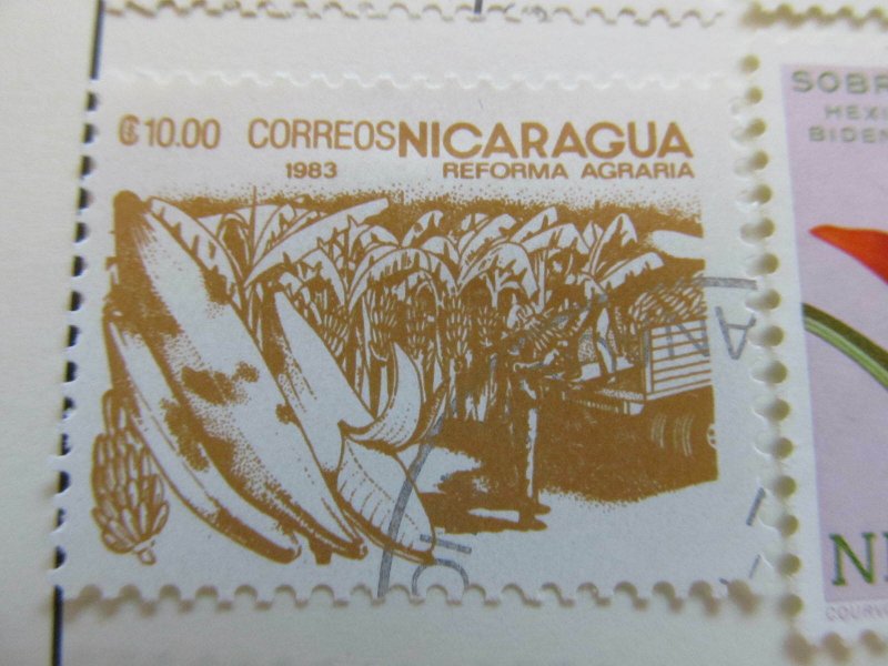 Nicaragua 1983 10cor fine used stamp A11P11F91