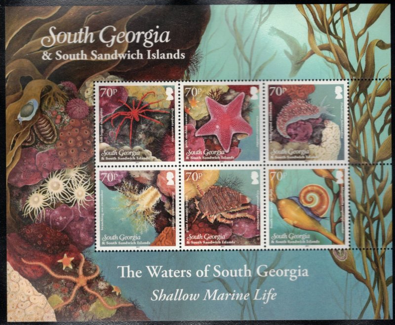 SOUTH GEORGIA 2012 Shallow Marine Life; Scott 443, SG 550a; MNH