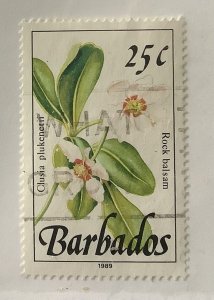 Barbados 1989 Scott 757 used - 25c, Wild plants, Rock Balsam