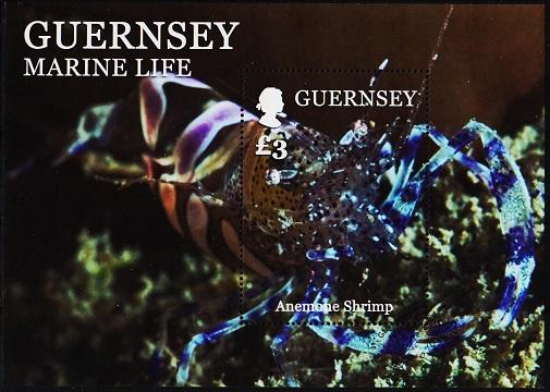 Guernsey. 2016? £3 Miniature Sheet. Fine Used