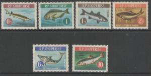 ALBANIA SG804/9 1964 FISH MNH