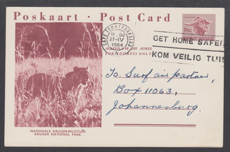 South Africa H&G 42-12 postcard 1964 GET HOME SAFELY slogan cancel, Lion, Kruger