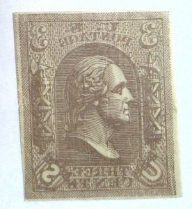 Scott #79-E8a - 3c Brown - Loewenberg Decalcomania - Essay