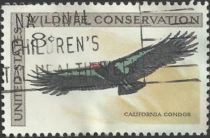 # 1430 USED CALIFORNIA CONDOR