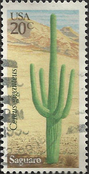 # 1945 USED SAGUARO