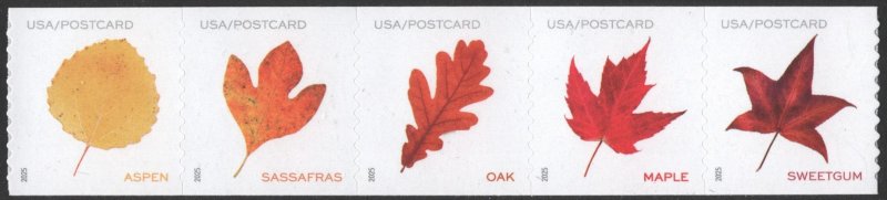 SC#5971-5975 (Postcard Rate) Vibrant Leaves Coil Strip of Five (2025) SA