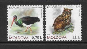 BIRDS - TURKISH CYPRUS (2022) BLACK STORK & OWL MNH