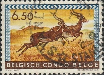 Belgian Congo, #315  Used From 1959