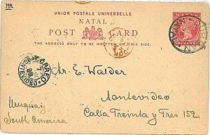 POSTAL STATIONERY : NATAL - from DURBAN to URUGUAY through LONDON - 1898!