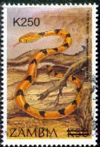 Tiger Snake, Zambia Stamp SC#996 used