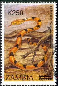 Tiger Snake, Zambia Stamp SC#996 used