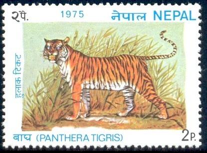 Wildcat, Tiger, Wildlife Conservation, Nepal SC#304 MNH