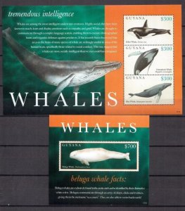 2010	Guyana	marine life mammals whales klb+s/s MNH	234